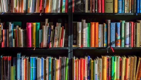 Biblioteca Búger